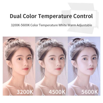 FX Studio 40W Bi-Color LED Panel with Dual Battery Kit & Charger