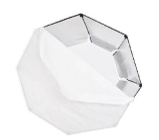 FX Studio Octagon Softbox
